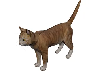 Cat 3D Model 3D Preview