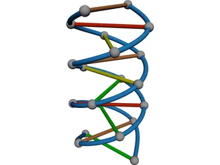 DNA Strand 3D Model