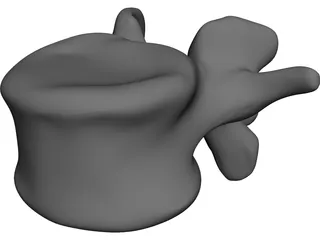 Vertebral Body CAD 3D Model