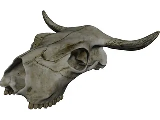 Cow Skull 3D Model