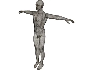 Man 3D Model