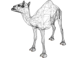 Dromedary 3D Model