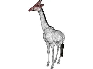 Giraffe 3D Model