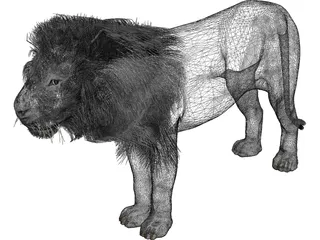 Lion 3D Model