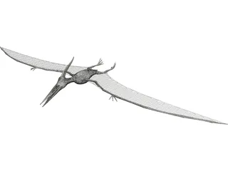 Pteranodon Ingens 3D Model