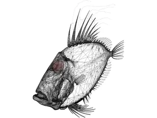 San Peters Fish 3D Model