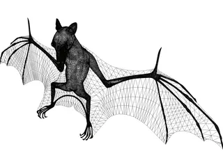 Bat 3D Model