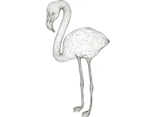 Flamingo 3D Model