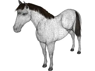 Horse 3D Model