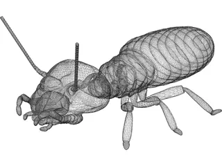 Termite 3D Model