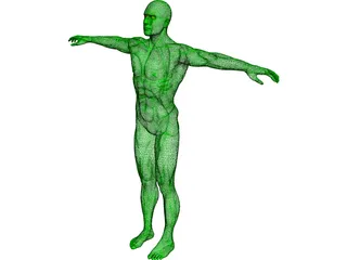Swimmer 3D Model