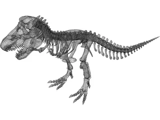 Tyrannosaurus Rex Skeleton 3D Model