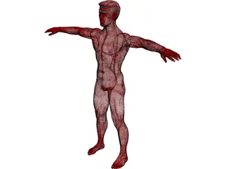 Man 3D Model