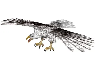 Eagle 3D Model