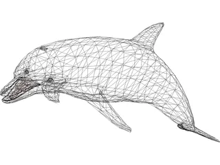 Dolphin 3D Model