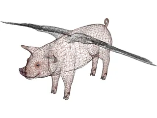 Pigasus 3D Model