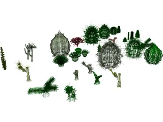 Cactuses Collection 3D Model