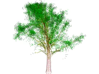 Tree 3D Model