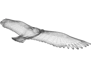 Vulture 3D Model