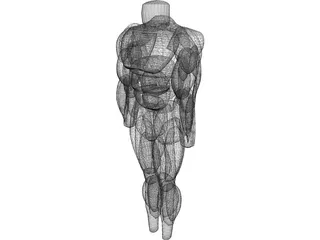 Muscles Body 3D Model