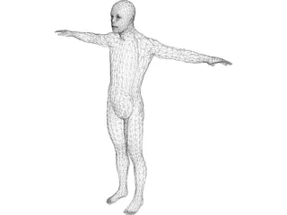 Human Body Male 3D Model