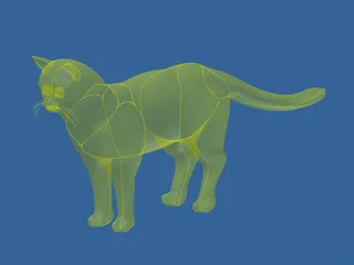 Cat 3D Model