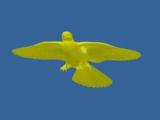 Dove 3D Model