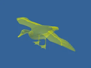 Goose 3D Model