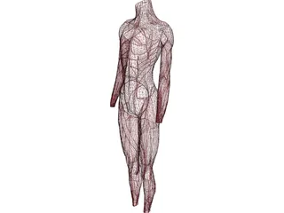 Surface Muscles 3D Model