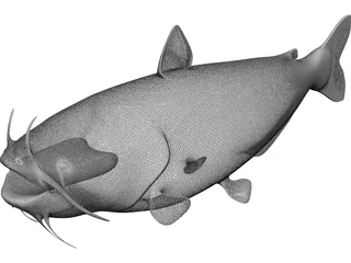 Blue Catfish 3D Model