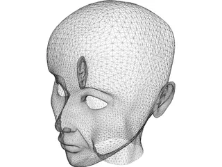 Human Head 3D Model