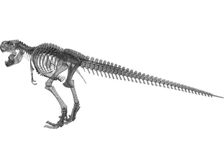 Tyrannosaurus Rex Skeleton 3D Model