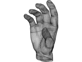 Hand 3D Model