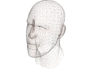 Human Head Face 3D Model