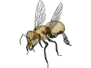 Bee 3D Model