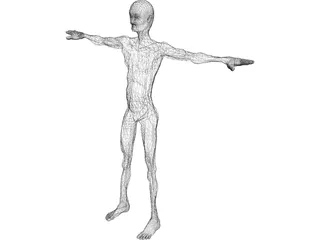 Old Skinny Man  3D Model