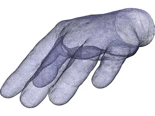 Hand Left 3D Model