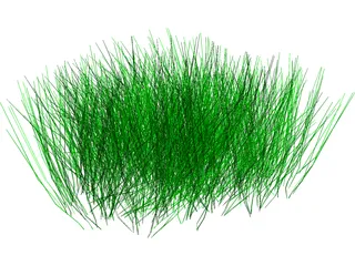 Grass 3D Model