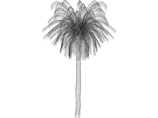 Palm Tree 3D Model