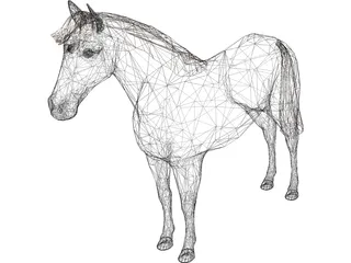 Horse 3D Model