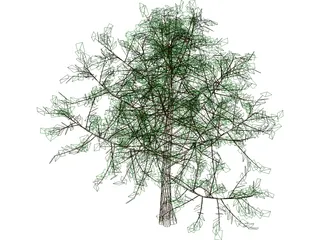 Baum Tree 3D Model