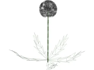 Dandelion 3D Model