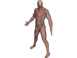 Man 3D Model