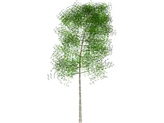 Tree 3D Model