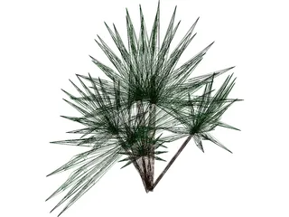 Palmetto Plant 3D Model