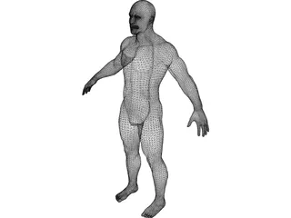 Male 3D Model