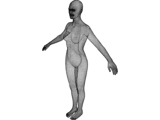 Female 3D Model