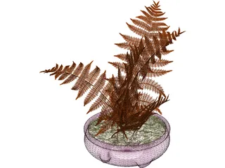 House Plant 3D Model