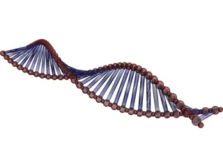 DNA Double Helix 3D Model