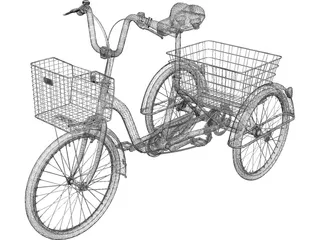 Three-wheeled Bicycle 3D Model